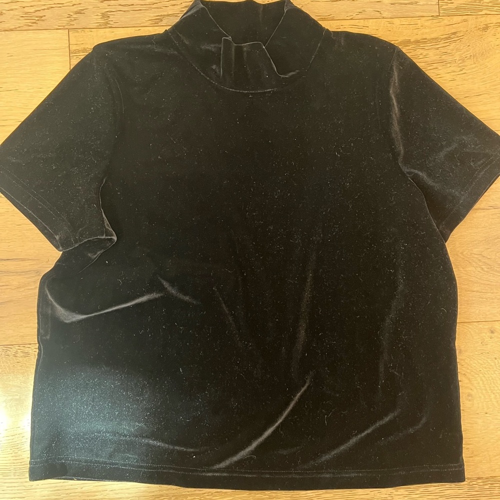 Madewell velvet short sleeve shirt. With mock turtle neck. Size Medium.